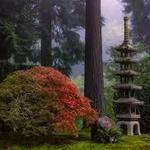 Portland Japanese Garden/ The tea house!