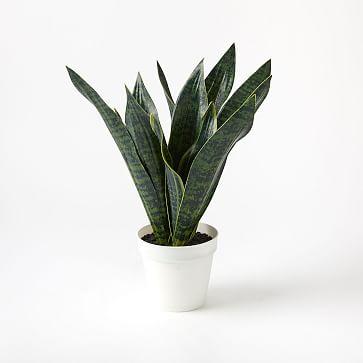 Faux Potted Snake Plant