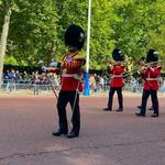 London Tours and Beyond with Viator