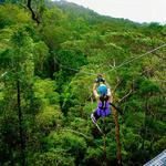 Tree Top Challenge