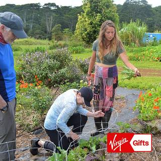 Farm to Table Cooking Class for 2 - The Big Island