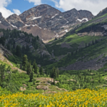 Broads Fork Trail