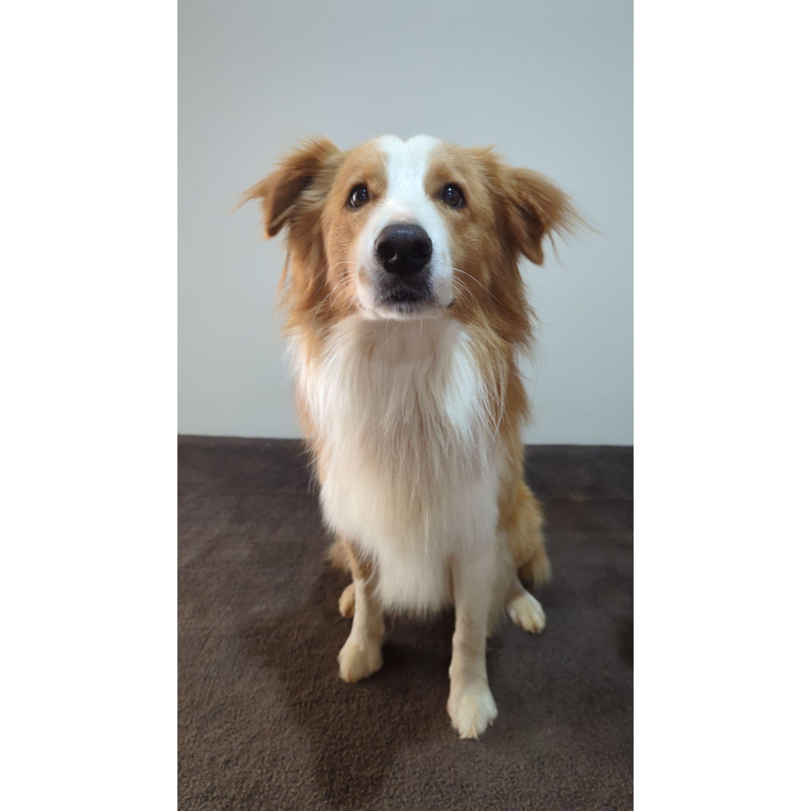 Oscar