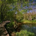 McConnell Springs Park