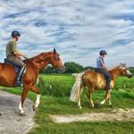 Wine Country Trails by Horseback