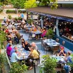 Chuck's Fish Athens