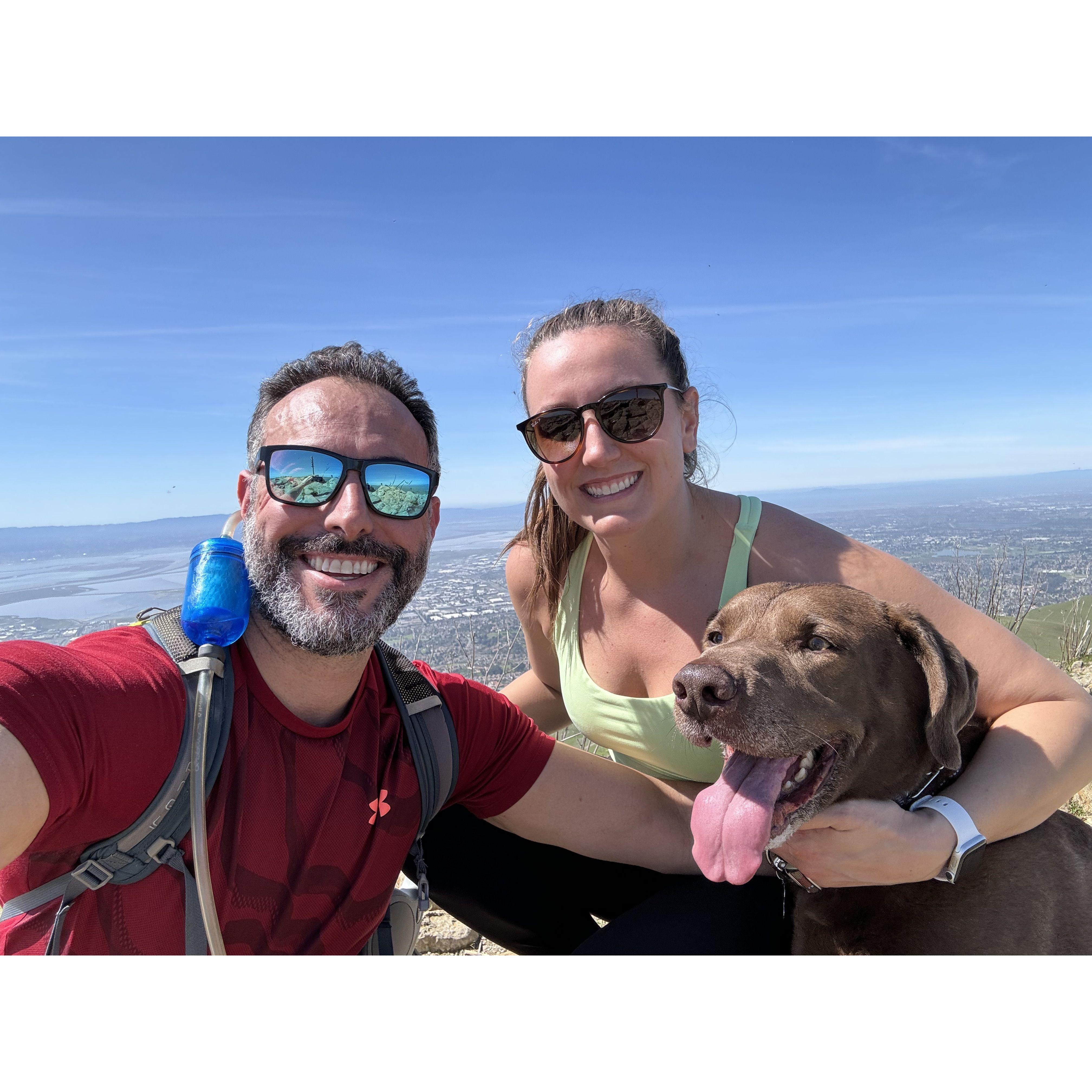 Hiked to the top of Mission Peak with our boy Duke!