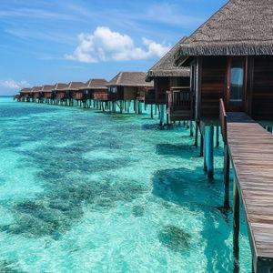 Honeymoon FUND