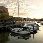 Shelter Cove Marina
