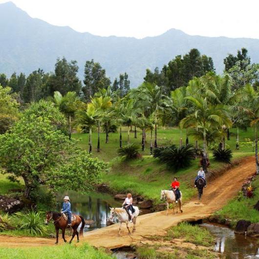 Horseback Riding On Our Honeymoon