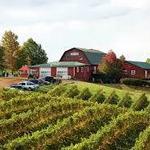 Carter Mountain Orchard