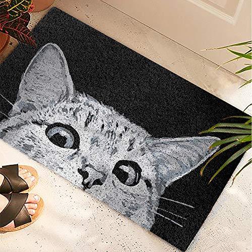 MR FANTASY Cat Front Door Mat Mud Absorbent, Welcome Mat Entrance Door Mat Rug Carpet, Outside Patio/Inside Entry Way, Anti-Slip Bath Rug, Anti-Fatigue Kitchen Mat, Durable & Washable, 18x30