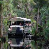 Babcock Ranch Eco Tours