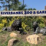 Riverbanks Zoo & Garden