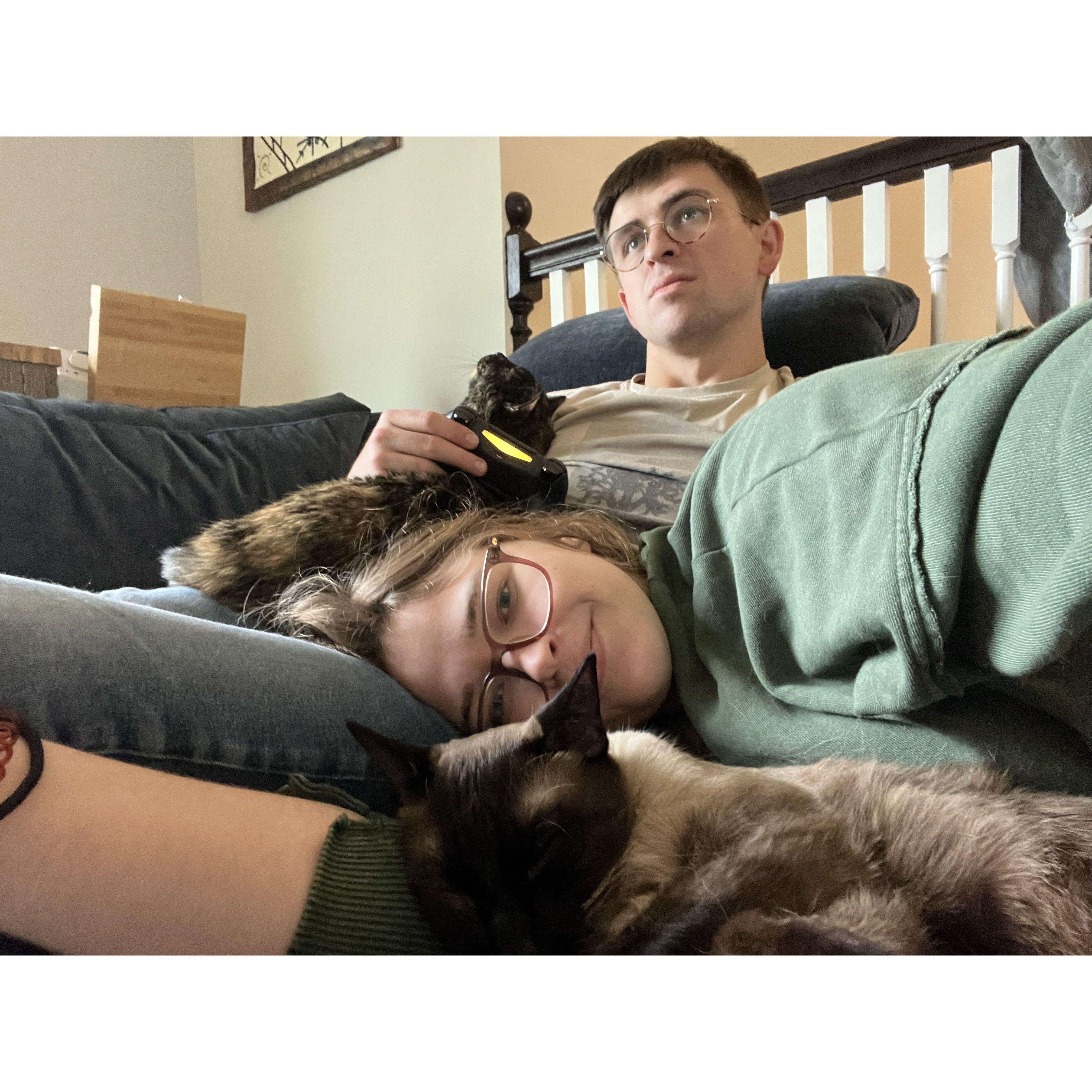 2023 - one of MANY afternoons spent unwinding with the kitties <3.