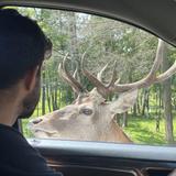 Omega Park