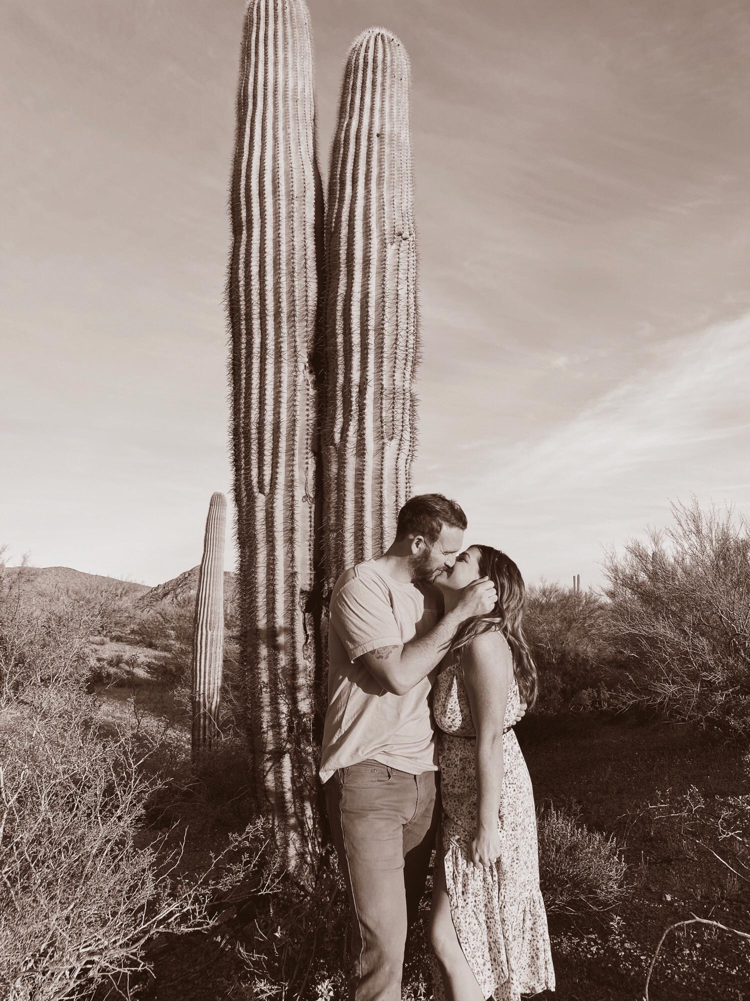 Ajo, Arizona in a sea of cacti