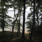 Garvies Point Museum & Preserve