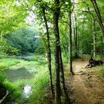 Eno River State Park
