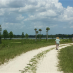 Orlando Wetlands