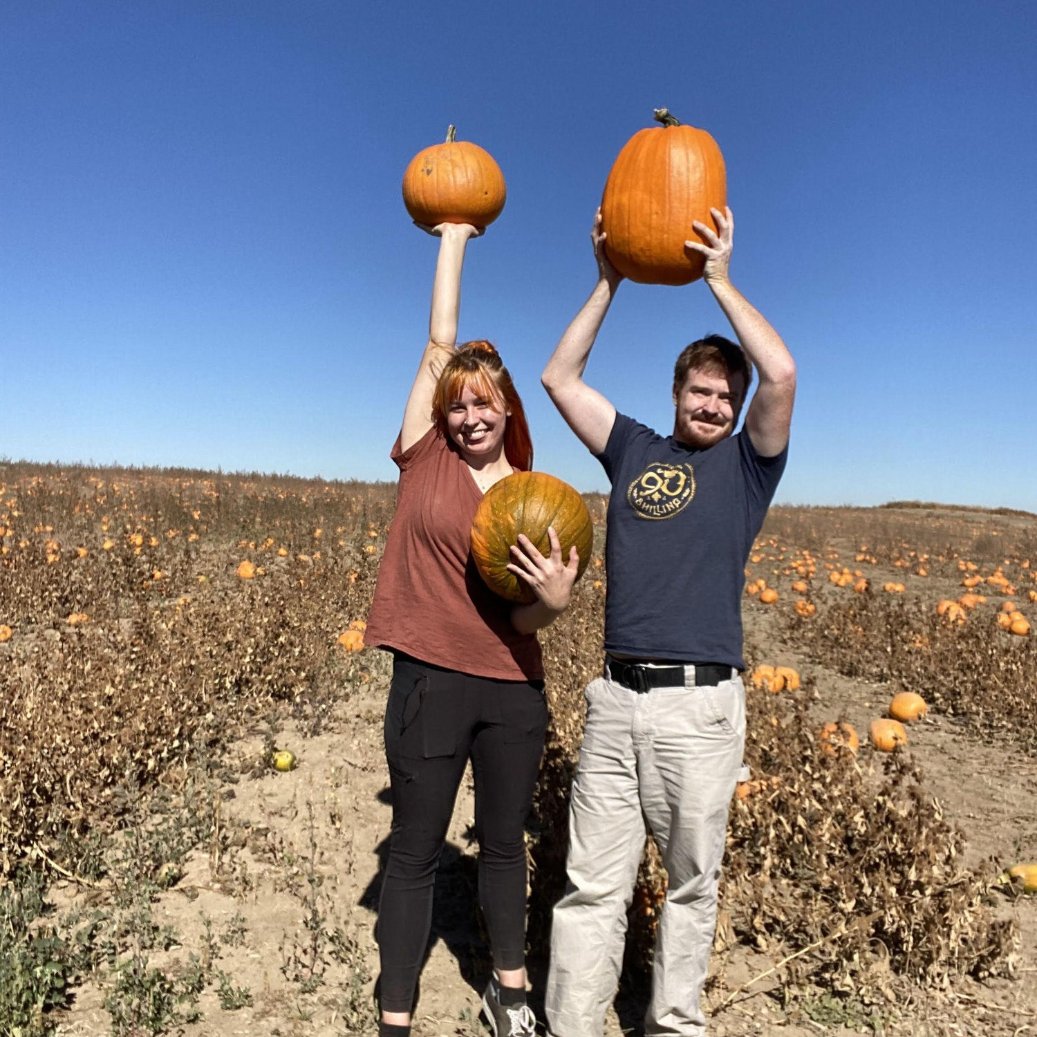 Pumpkins!!!!
