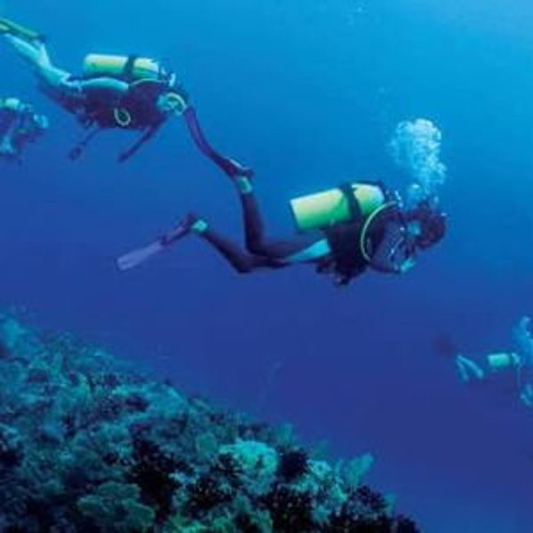 Scuba Diving in Bora Bora