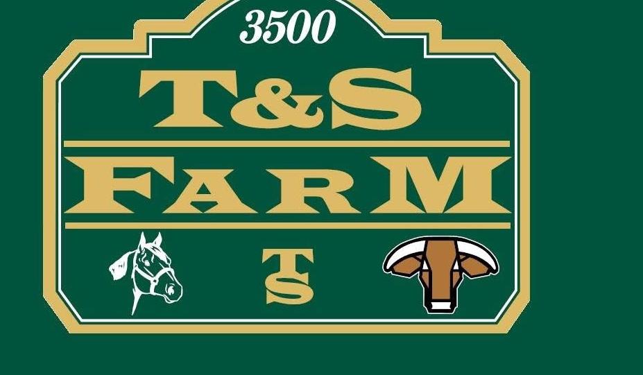 The Wedding Website of Lindsey Falco and Jeremy Korenoski