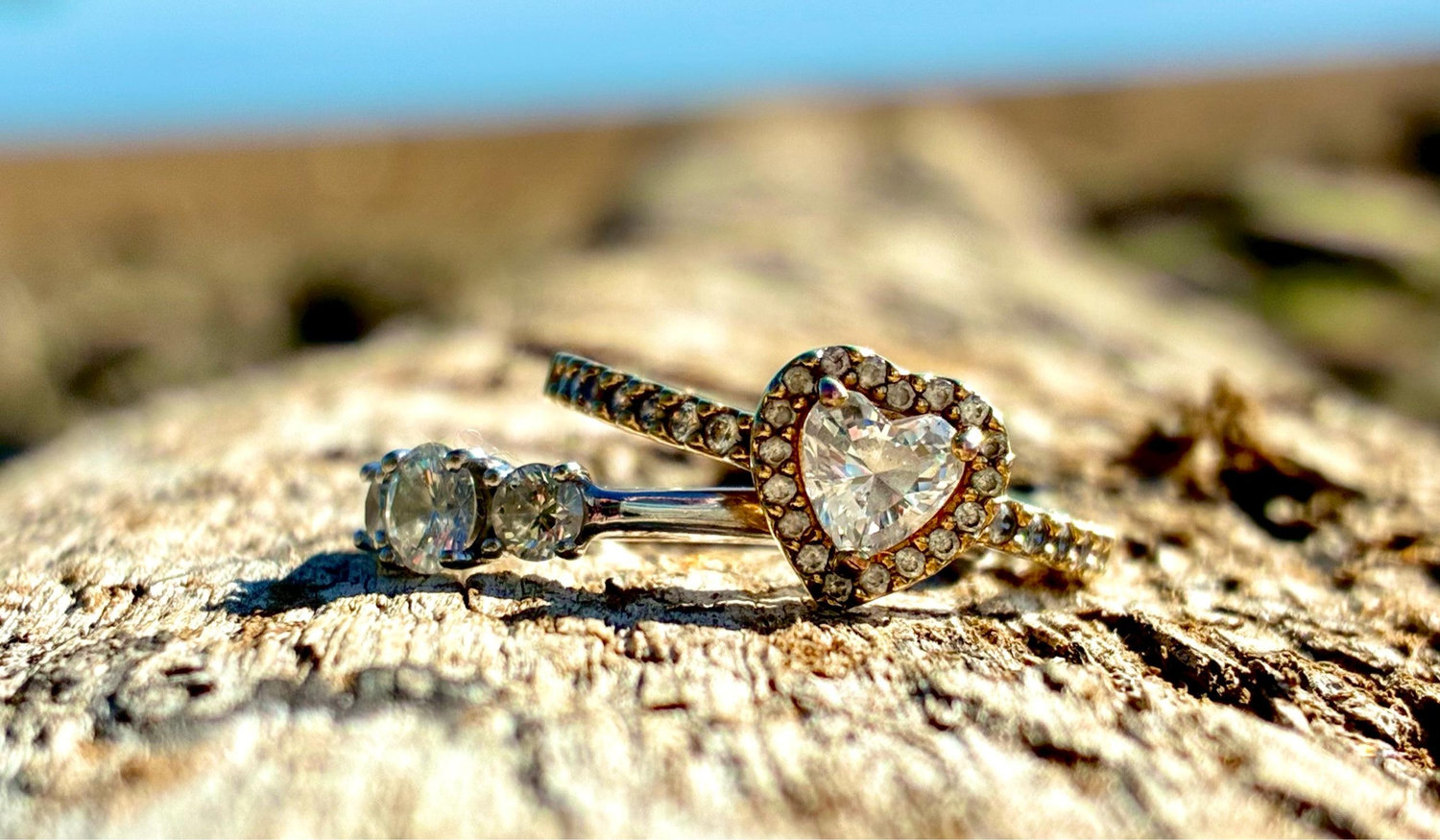 The Wedding Website of Alexis Hoffmann and Molly Vander Horn