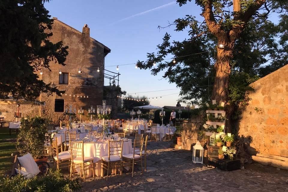The Wedding Website of Conor Murphy and Amy Freeman