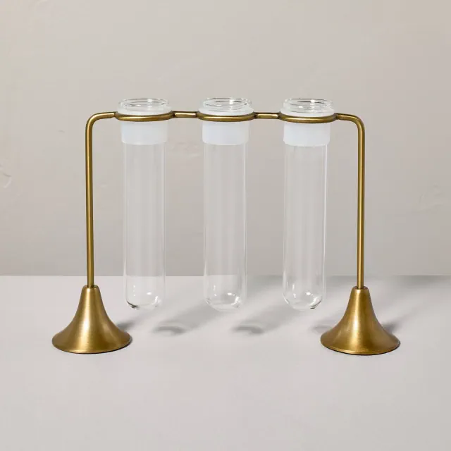 Brass and Glass Plant Propagation Vase Set - Hearth & Hand™ with Magnolia