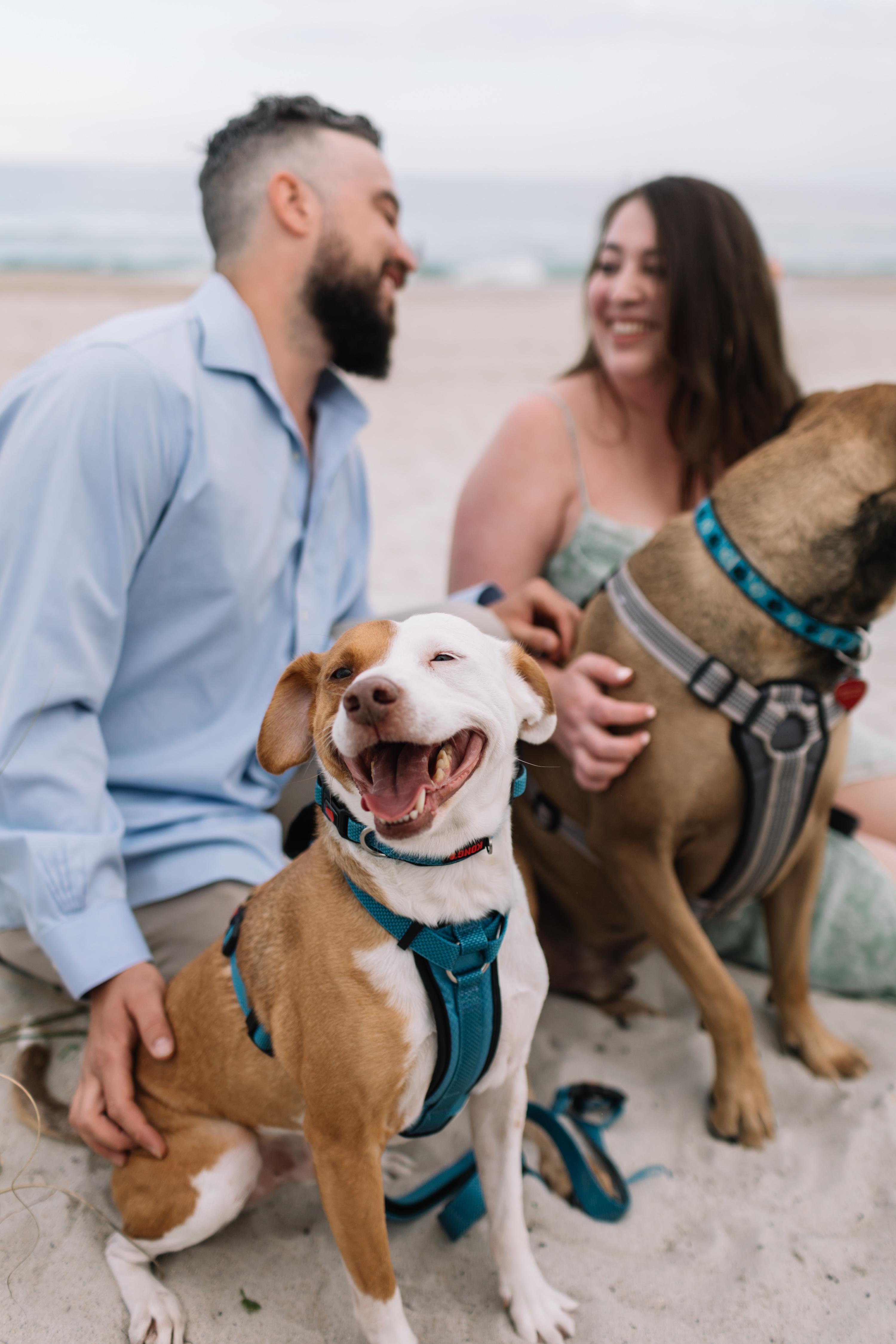 The Wedding Website of Murphy Taylor and Hunter Whisnant