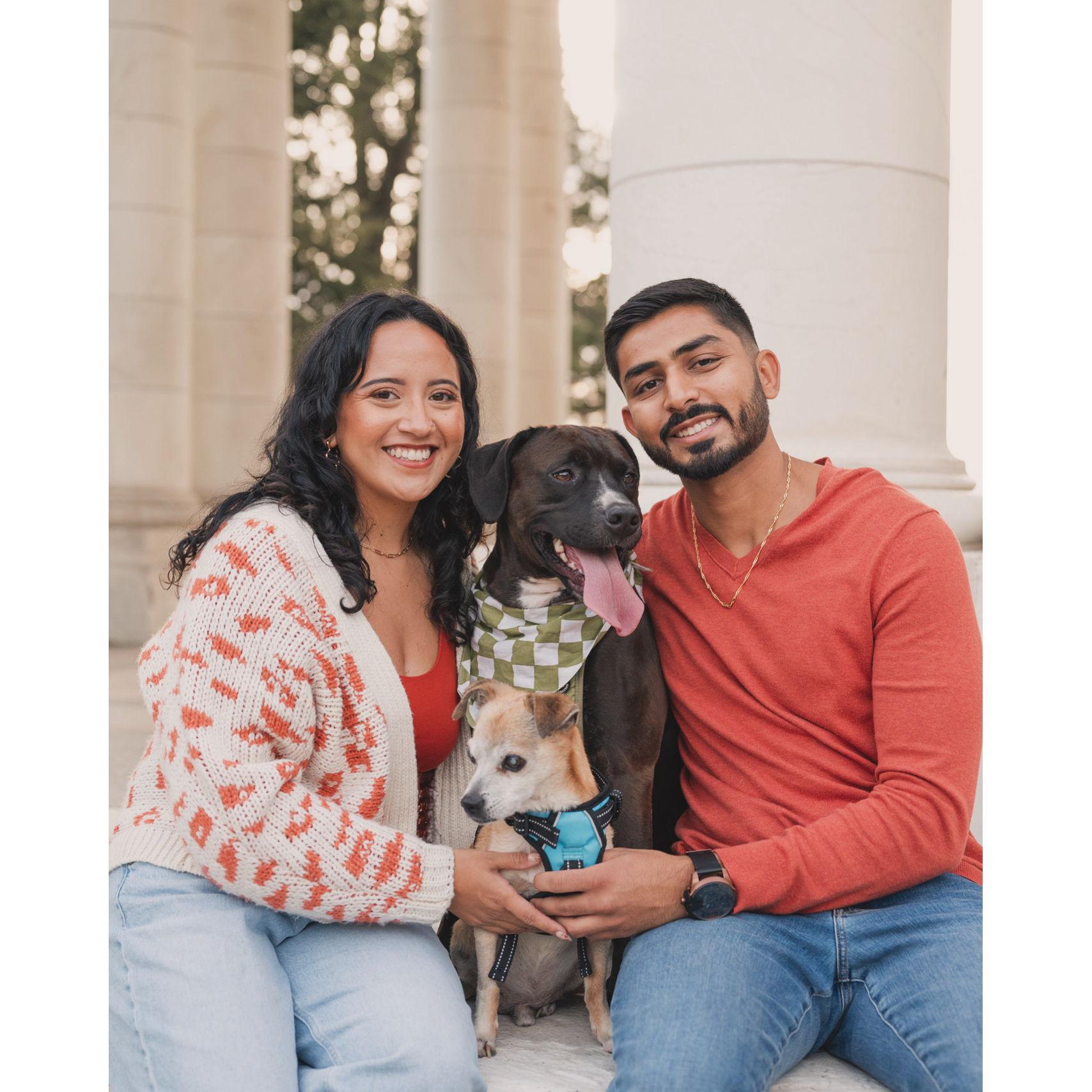 Fall family photos with our fur babies