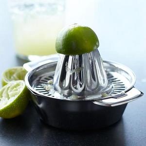 Williams Sonoma Open-Kitchen Stainless-Steel Juicer
