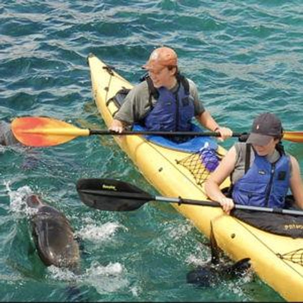 Kayaking in the Galapagos for Two