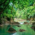 Bohol Waterfall Hopping & Secret Trails Guided Tour