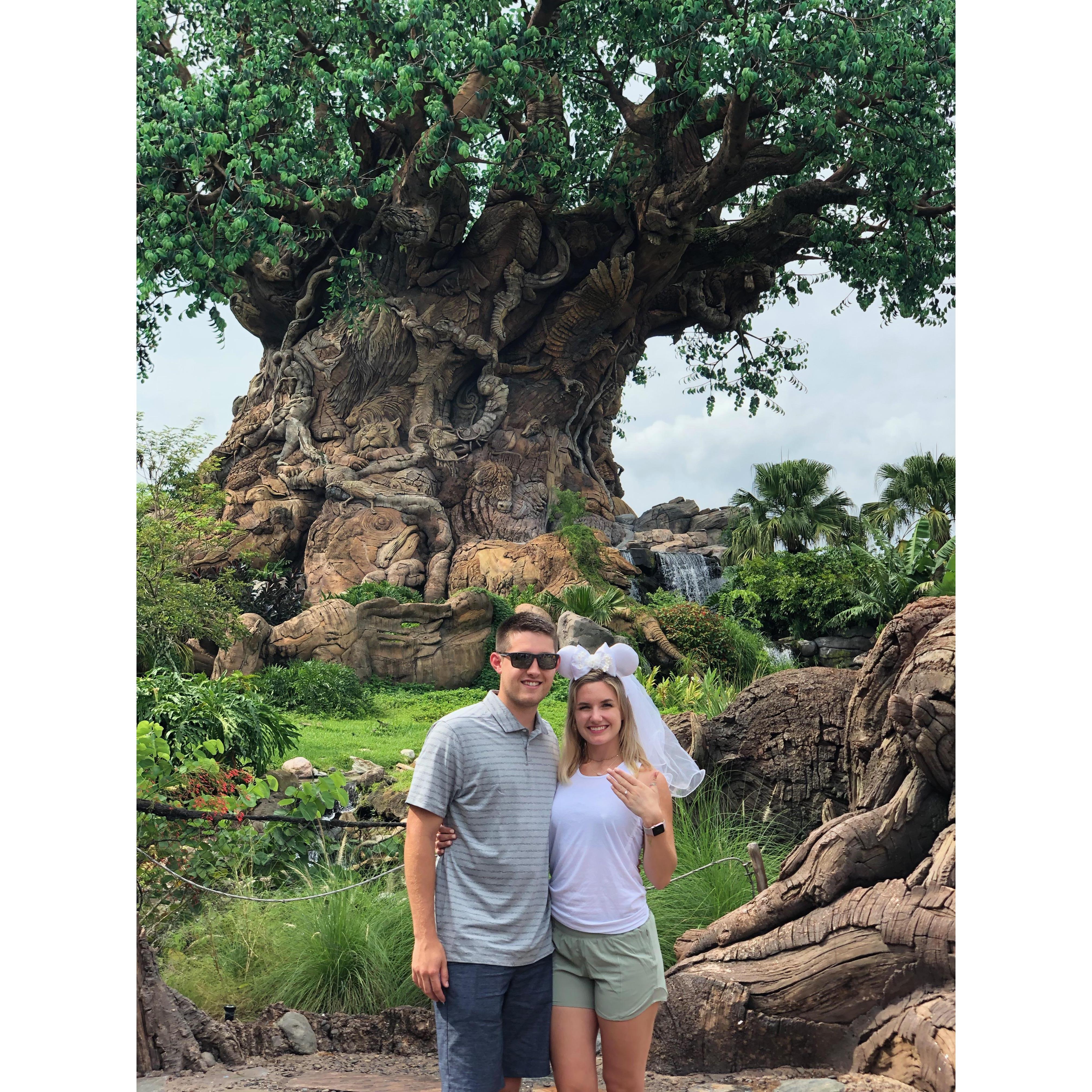 After the proposal at Animal Kingdom!