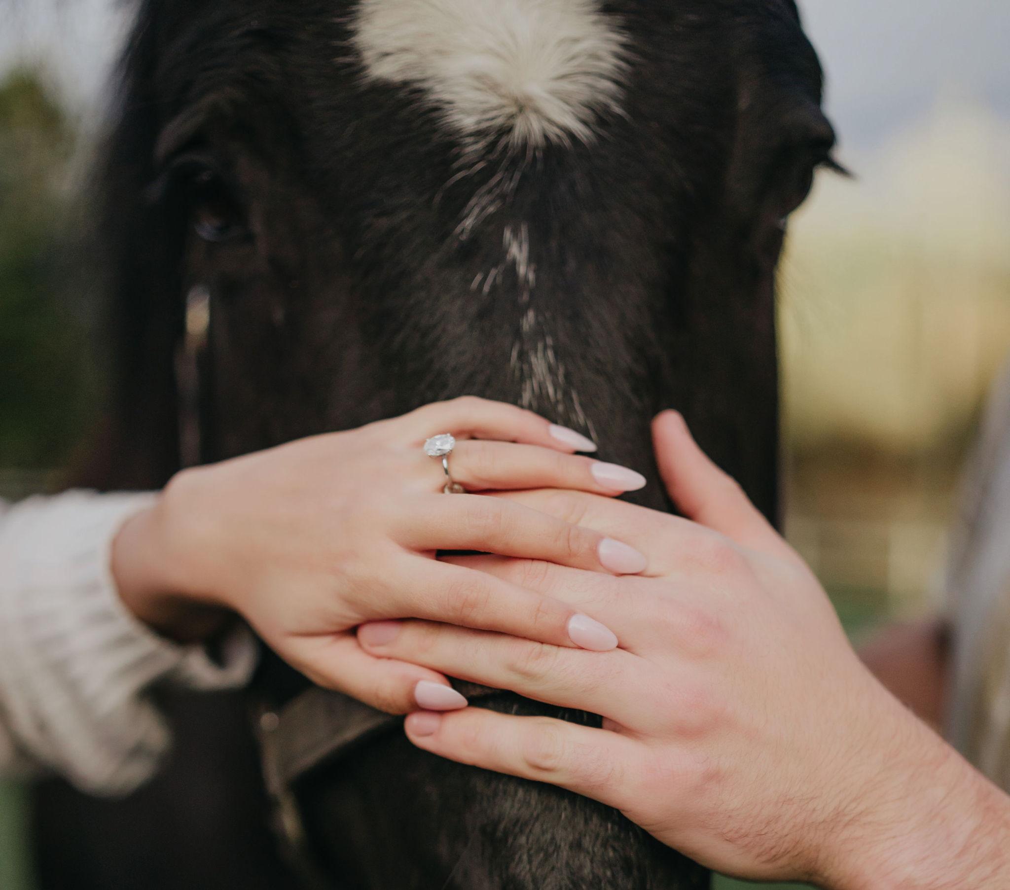 The Wedding Website of Craig Scanlon and Kris-Ann D’Souza