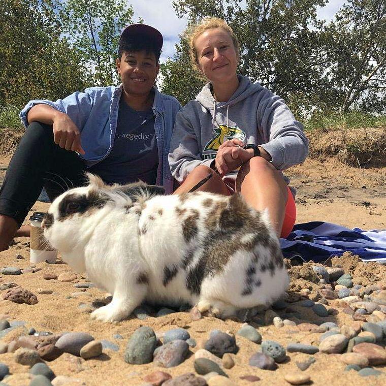 In 2020 we took Luna to the beach in Marquette - she loved it!