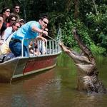 Cajun Encounters Tour Company