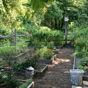 Build our first raised garden beds