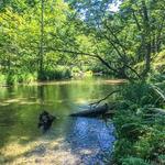 Ice Age Trail-Wedde Creek Segment north
