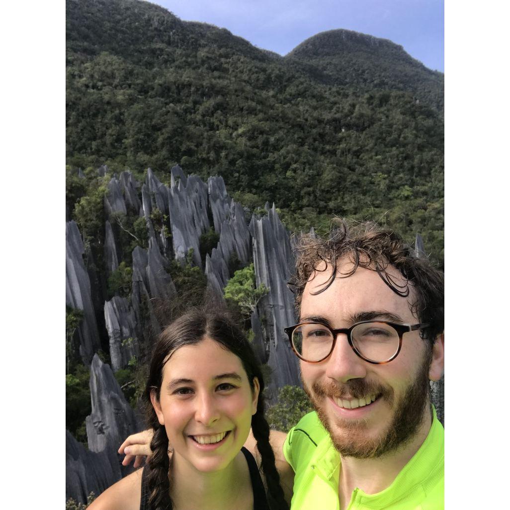 Pinnacles, Mulu NP Sarawak Malaysia
