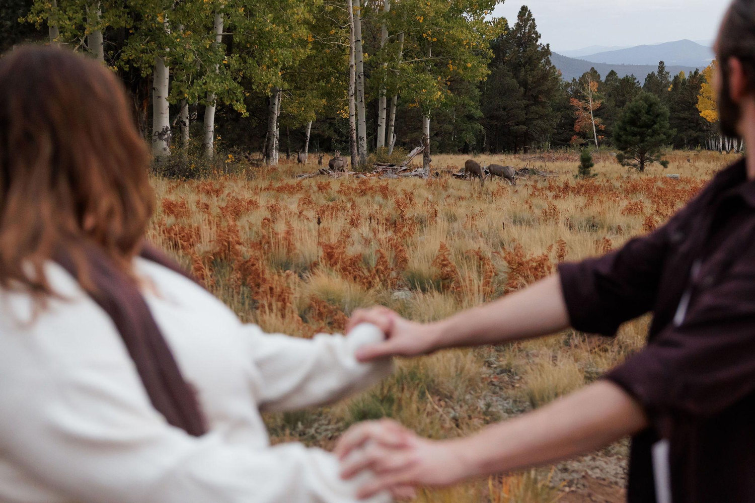 The Wedding Website of Chelsey Carney and William Wasserman