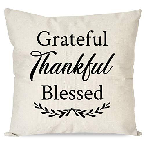 PANDICORN Modern Farmhouse Pillows Covers for Home Décor, Rustic Throw Pillow Cases with Quotes Grateful Thankful Blessed for Couch Sofa, 18 x 18 Inch
