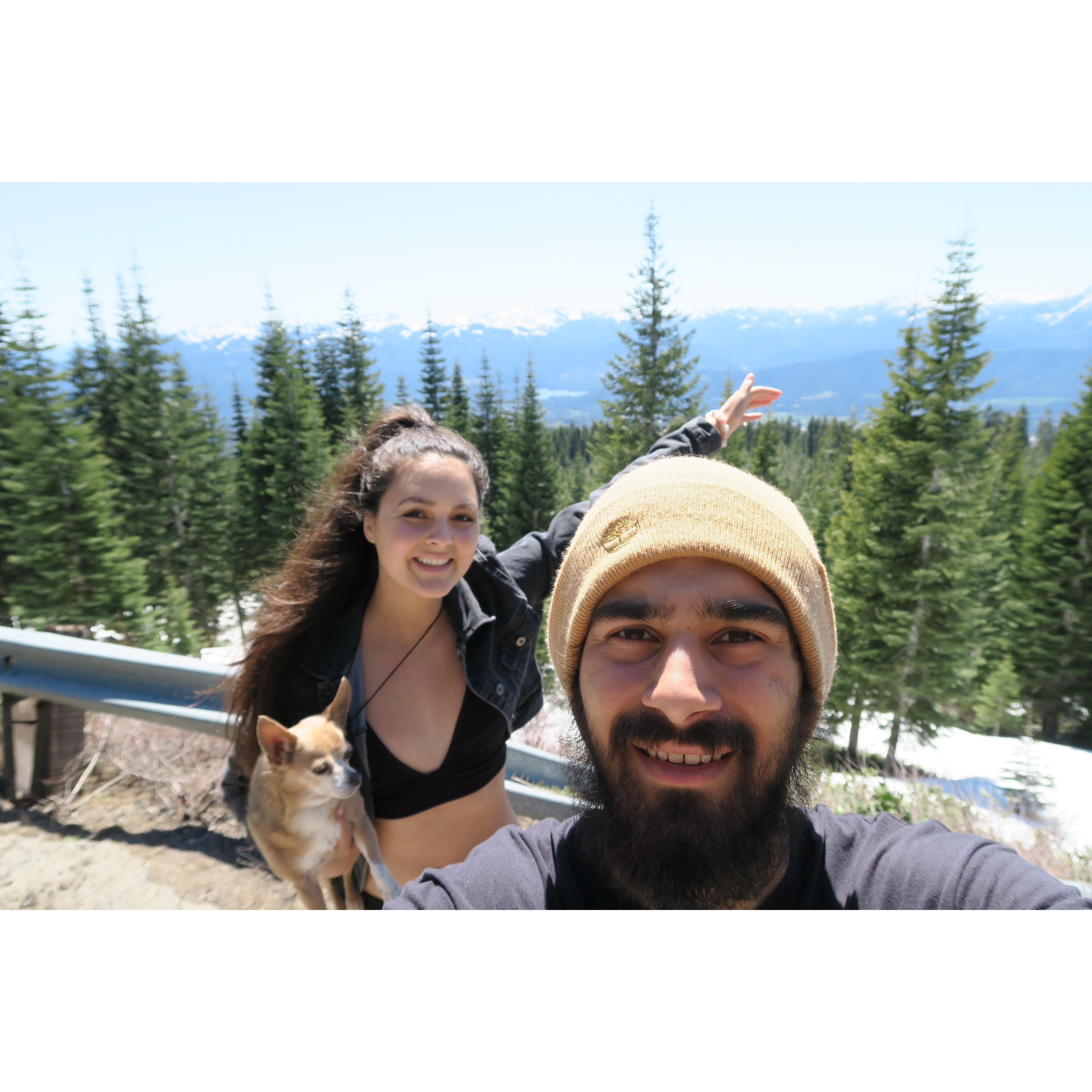 In Mount Shasta with our baby Gizmo