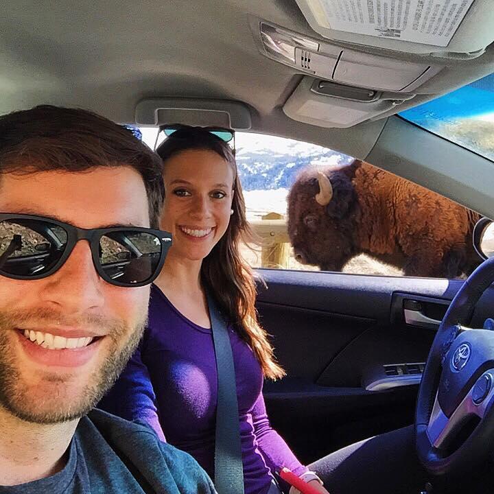 Yellowstone National Park - 2016