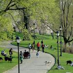 Prospect Park