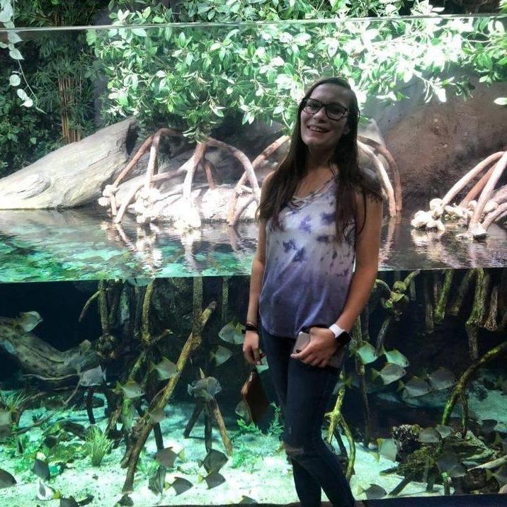 Atlanta, GA Aquarium