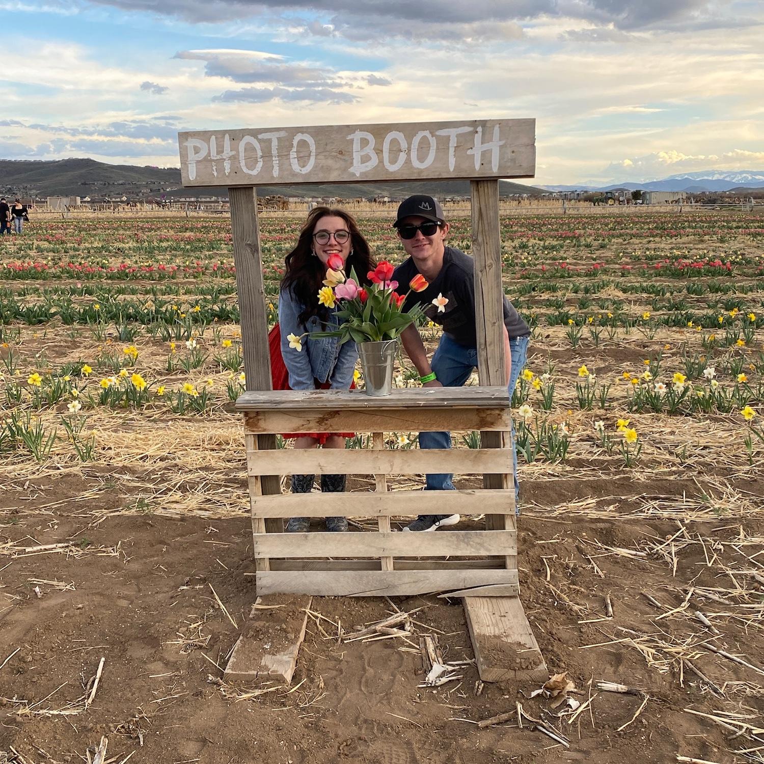 Tulip farm