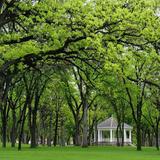 Island Park